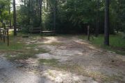 Campsite with picnic table and lush vegetation buffer to other campsites.