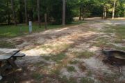 Campsite with picnic table and lush vegetation buffer to other campsites.
