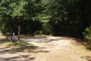 Curved pull-through campsite with tall trees.