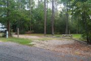 Pull through campsite surrounded by tall trees.