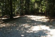 Shaded gravel campsite with picnic table.