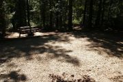 Shaded campsite with picnic table and ground grill.