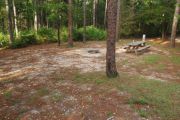 Campsite with picnic table and ground grill.