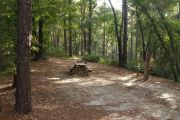 Campsite with picnic table and ground grill.