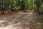 Campsite with picnic table and ground grill.