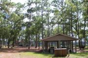 This is a photo of the large picnic area at Faver-Dykes State Park.  There are two pavilions that are both available for reservation.  The picnic area looks over Pellicer Creek.  There are bathroom facilities, electricity outlets, and a nice playground for children.