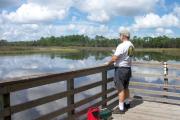 The pavilion area at Faver-Dykes State Park has a large fishing and observation dock on the banks of Pellicer Creek.  Try catching a fish here or take a picture of the beautiful scenery.