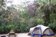 Each site is equipped with a picnic table, clothesline/lantern post, hose bib, electric hook-up for 20 and 50 amp service, and fire pit on the ground with a fold over grill top.