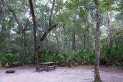 Each site is equipped with a picnic table, clothesline/lantern post, hose bib, electric hook-up for 20 and 50 amp service, and fire pit on the ground with a fold over grill top.