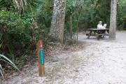 This campsite is surrounded by oak trees, cabbage palms, and pines that provide ample shade on sunny Florida days. There is vegetation providing a boundary from neighboring sites.