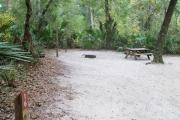 This campsite is surrounded by oak trees, cabbage palms, and pines that provide ample shade on sunny Florida days. There is vegetation providing a boundary from neighboring sites.