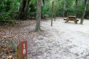This campsite is surrounded by oak trees, cabbage palms, and pines that provide ample shade on sunny Florida days. There is vegetation providing a boundary from neighboring sites.