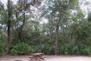 Each site is equipped with a picnic table, clothesline/lantern post, hose bib, electric hook-up for 20 and 50 amp service, and fire pit on the ground with a fold over grill top.
