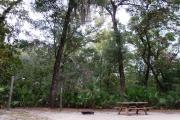This campsite is surrounded by oak trees, cabbage palms, and pines that provide ample shade on sunny Florida days. There is vegetation providing a boundary from neighboring sites.