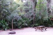This campsite is surrounded by oak trees, cabbage palms, and pines that provide ample shade on sunny Florida days. There is vegetation providing a boundary from neighboring sites.