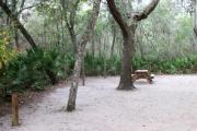 This campsite is surrounded by oak trees, cabbage palms, and pines that provide ample shade on sunny Florida days. There is vegetation providing a boundary from neighboring sites.