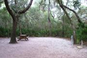 Each site is equipped with a picnic table, clothesline/lantern post, hose bib, electric hook-up for 20 and 50 amp service, and fire pit on the ground with a fold over grill top.