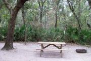This photo is an up close view of the picnic table, grill, and clothesline/lantern post.
