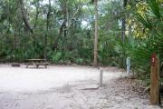 This campsite is surrounded by oak trees, cabbage palms, and pines that provide ample shade on sunny Florida days. There is vegetation providing a boundary from neighboring sites.