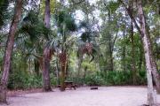 This campsite is surrounded by oak trees, cabbage palms, and pines that provide ample shade on sunny Florida days. There is vegetation providing a boundary from neighboring sites.