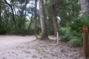 This campsite is surrounded by oak trees, cabbage palms, and pines that provide ample shade on hot Florida days. There is vegetation providing a boundary from neighboring sites.
