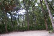 Each site is equipped with a picnic table, clothesline/lantern post, hose bib, electric hook-up for 20 and 50 amp service, and fire pit on the ground with a fold over grill top.