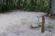 This campsite is surrounded by oak trees, cabbage palms, and pines that provide ample shade on sunny Florida days. There is vegetation providing a boundary from neighboring sites.