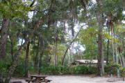 This view shows the proximity of this site to the restrooms and the ample shade provided.