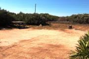 Packed sand campsite with palmetto plants and scrub buffer at the back. Palmetto plants border each side for privacy. Picnic table and grill on left side.