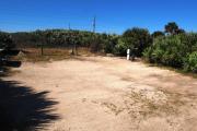 Packed sand campsite with palmetto plants and scrub buffer at the back. Palmetto plants border each side for privacy. Electric and water on right.