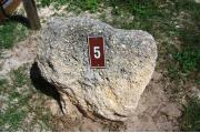 Large rock with metal sign with campsite number 5 on it located to the left of the site.