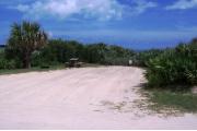 Packed sand campsite with palmetto plants, sea oats, and scrub. Picnic table and grill located on left of site.