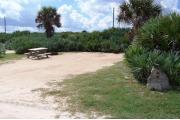 Packed sand campsite with palmetto plants and scrub buffer at the back. Picnic table and grill on left side. Small palm tree visible. Low brush on left side.