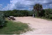 Packed sand campsite with palmetto plants and scrub buffer at the back and along right side for privacy. Electric and water on right side.