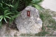 Large rock with metal sign with campsite number 7 on it located to the left of the site. Vegetation in the background.