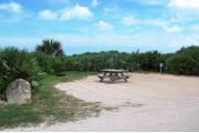 Packed sand campsite with low palmetto plants, sea oats, and scrub along the back. Picnic table is set off to the left with the grill at the back left. Electric and water hook ups located to the right with palmetto plants for privacy.