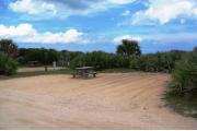Packed sand campsite with low palmetto plants, sea oats, and scrub along the back. Picnic table is set off to the left with the grill at the back left. No vegetation between sites on the left.