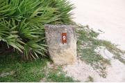 Large rock with metal sign with campsite number 9 on it located to the left of the site. Vegetation behind it.