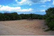Packed sand campsite with palmetto plants and scrub to the left side providing privacy. Picnic table and ground grill located to the left of the site.