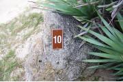 Large rock with metal sign with campsite number 10 on it located to the right of the site. Vegetation behind it.