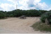 Packed sand campsite with palmetto plants all along the back and left side.  Picnic table and ground grill off to the left of the campsite.