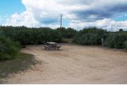 Packed sand campsite with palmetto plants along backside and up the right side. Electric and water hookups located to the right.