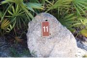 Large rock with metal sign with campsite number 11 on it located to the left of the site. Palmetto plants behind it.