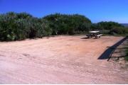 Packed sand campsite with vegetation along the back and palmetto plants lining the left side for privacy. Picnic table and ground grill on the left.
