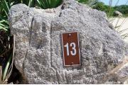 Large rock with metal sign with campsite number 13 on it located to the left of the site. Palmetto plants behind it.