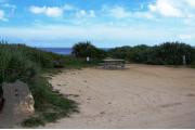 Packed sand campsite with low palmetto plants and sea oats along the back.  The ocean is visible. Picnic table and ground grill off to the left side. Electric and water hookup on right with palmetto plants along the right side for privacy.