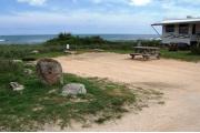 Packed sand campsite with low palmetto plants and sea oats along the back.  The ocean is visible. Ground cover borders the right side. Electric and water hookups located to the right. Picnic table is on the right of the site and ground grill is located at the back of site.