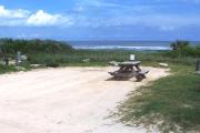 Packed sand campsite with low palmetto plants and sea oats along the back.  The ocean is visible. Low vegetation borders the right side. Electric and water hookups located to the right. Picnic table is on the right of the site and ground grill is located at the back of site.