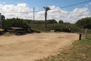 Packed sand campsite with no privacy vegetation to the right. Picnic table and ground grill located on the left. Palmetto plants provide a thick buffer to the back. Electric and water hookups located to the right.