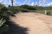 Packed sand campsite with palmetto plants all along the back and left side.  Picnic table and ground grill off to the left of the campsite. Palmetto plants provide a thick buffer to the back. Electric and water hookups located to the right.